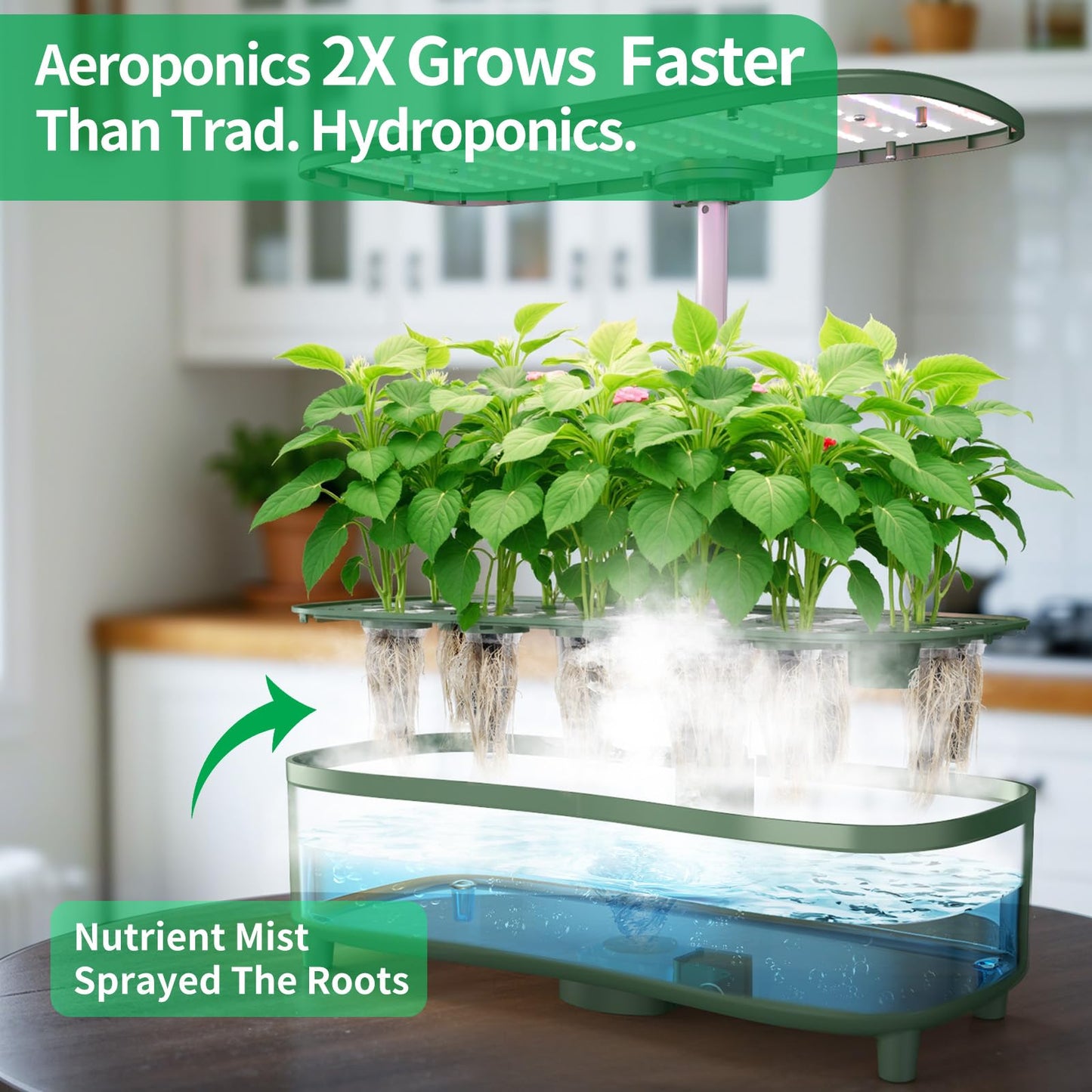 Hydroponics Growing System Kit Indoor: Aeroponics Herb Garden Kit 15 Pods, 3 Grow Modes, 24H Timer Hydroponic Gardening System, Quiet Smart Water Pump Hydroponic Planter For Home Kitchen Office